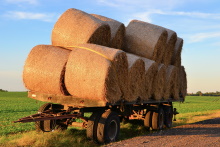 Ackerwagen günstig online kaufen