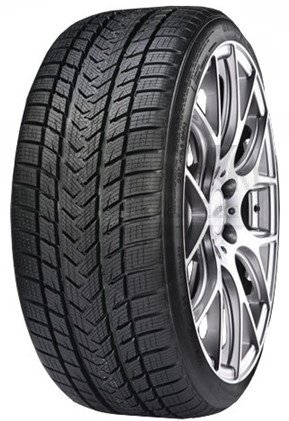 Gripmax Pro Winter 285/30 R20