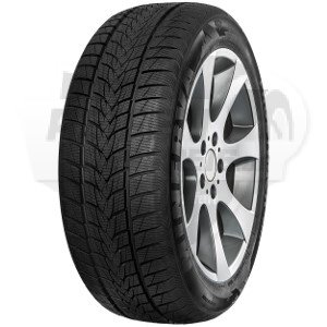 Minerva Frostrack UHP 205/55 R17