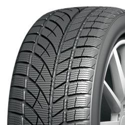 Winterreifen Evergreen EW-66 225/55 R17 97H